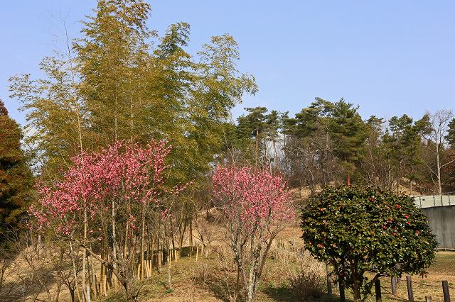 a0242438_215570.jpg
