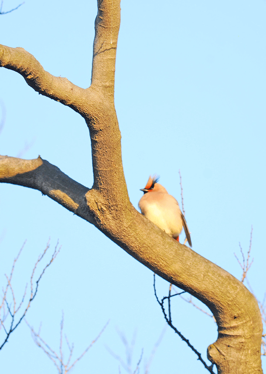 d0290240_11090914.gif