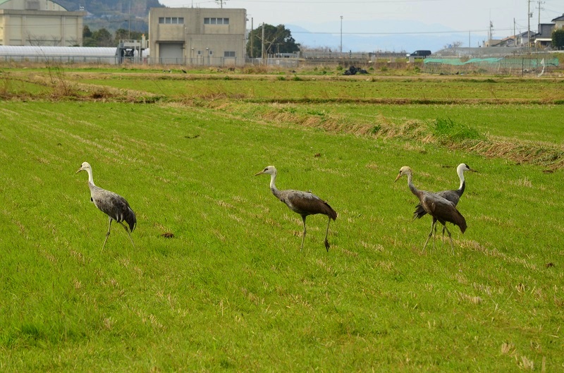 b0288942_23342461.jpg