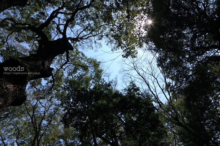 c0187744_19561396.jpg