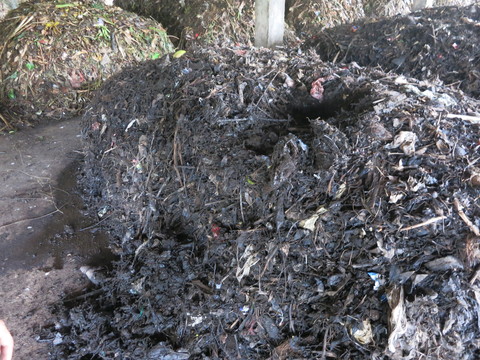e0020945_20353547.jpg