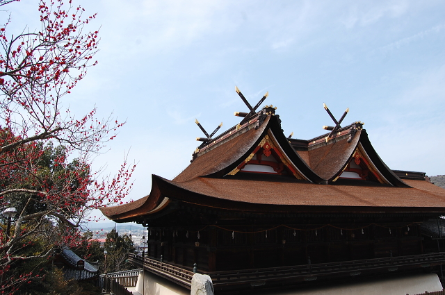c0339546_1710484.jpg
