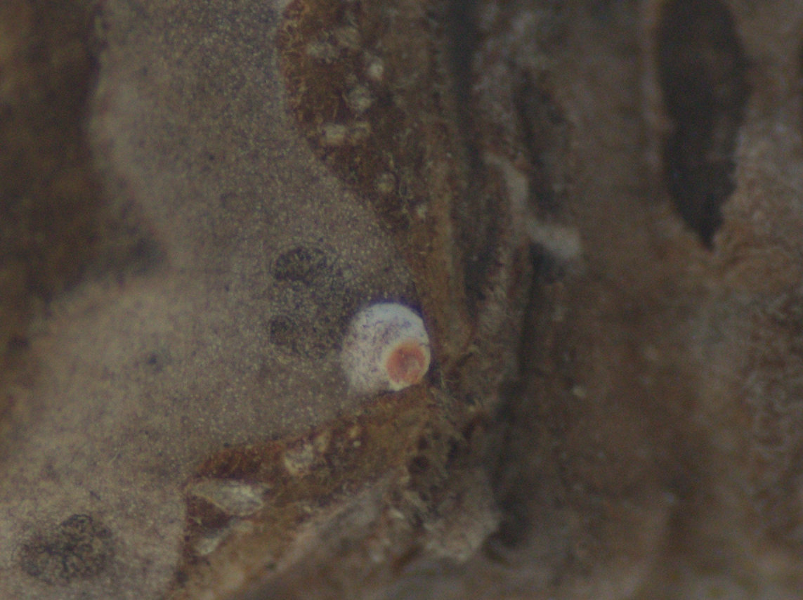 d0098057_75947.jpg