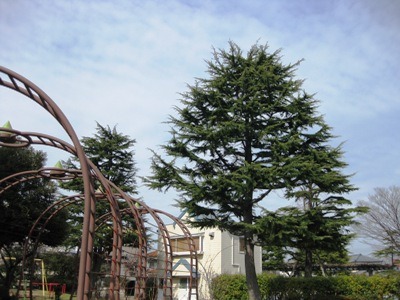 c0190960_19474518.jpg
