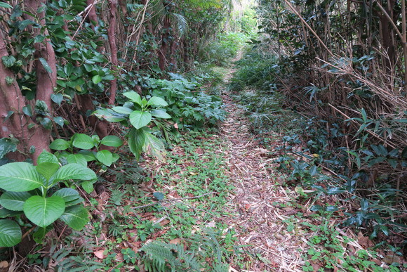 e0292172_20434910.jpg