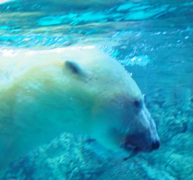 b0014576_23524073.jpg