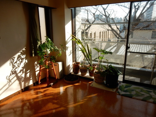 f0054677_06245914.jpg