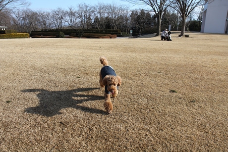 c0283778_1544377.jpg