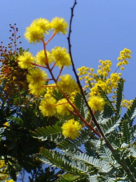e0145782_14261334.jpg