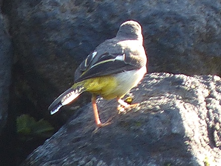 f0357487_9414838.jpg