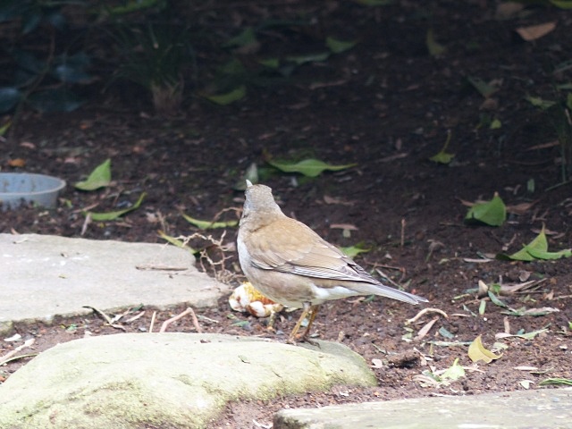 f0357487_9445122.jpg