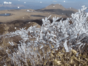 f0357487_9592070.gif