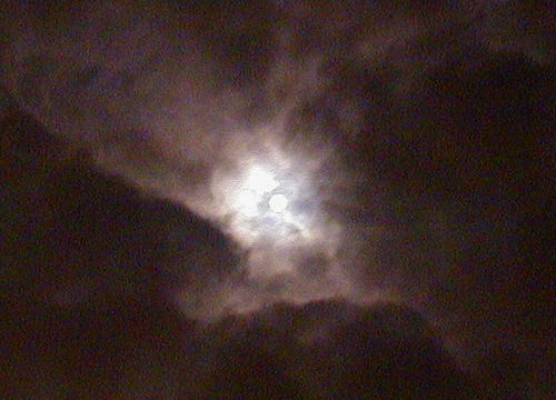 d0053294_140473.jpg