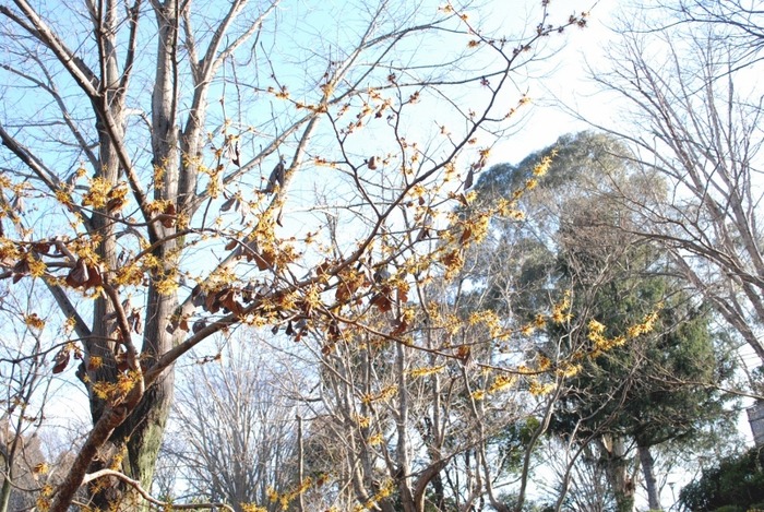 e0025300_20212547.jpg