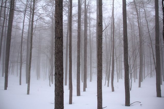 e0137200_15354526.jpg