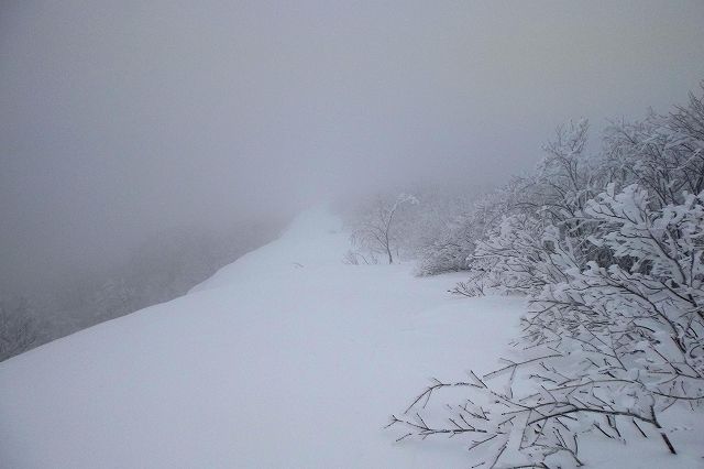 e0137200_1538307.jpg