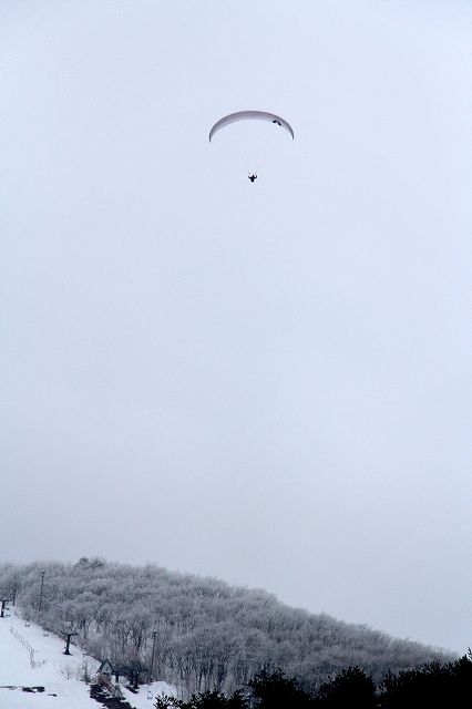 e0137200_1540489.jpg