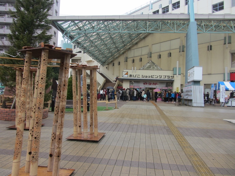 e0033301_2215135.jpg