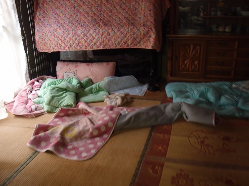 e0018604_22173220.jpg