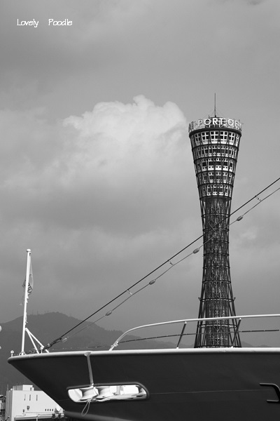 d0257606_15071872.jpg
