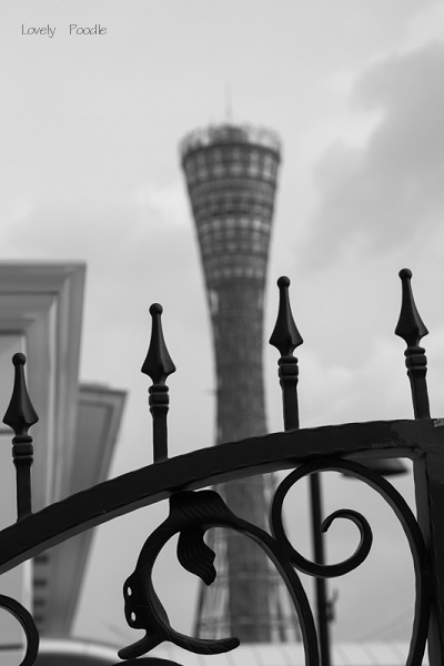 d0257606_15085240.jpg
