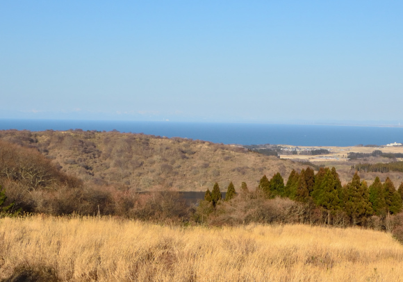 c0336907_21063317.jpg