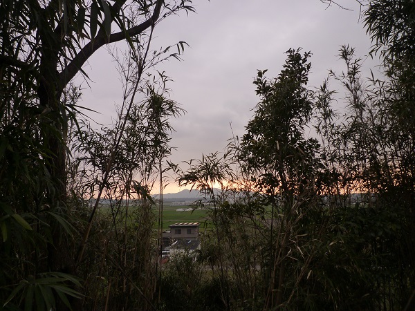 a0156611_86832.jpg