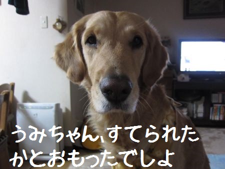 b0008217_10113142.jpg