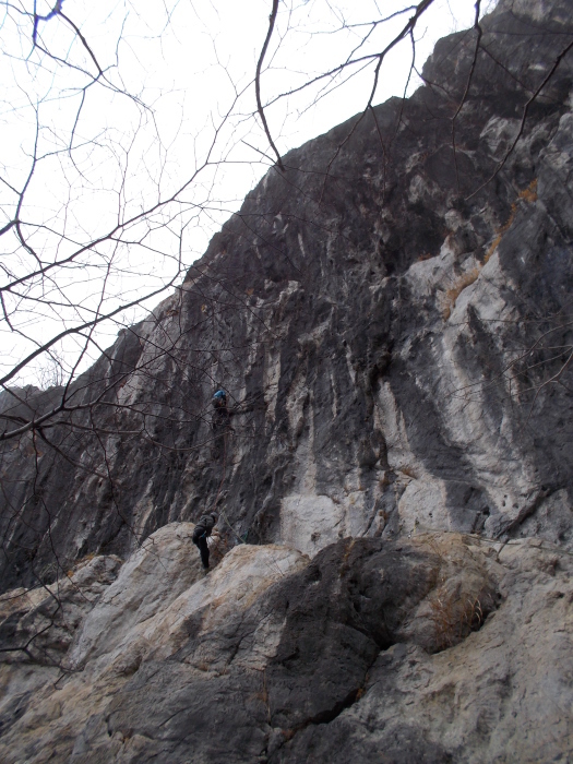 b0037220_22440677.jpg