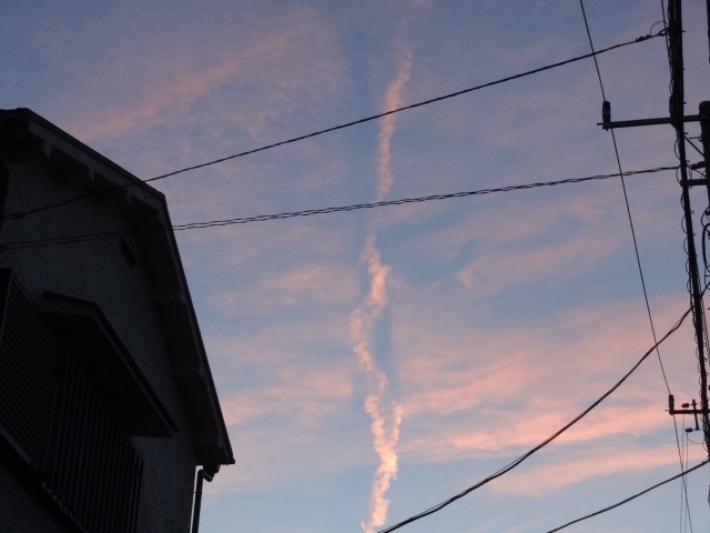 e0016828_1247361.jpg