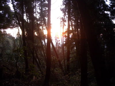 e0272335_2030165.jpg