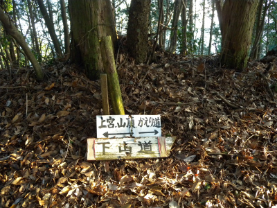 e0272335_2045210.jpg