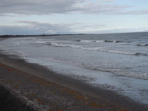 f0248337_15582145.jpg