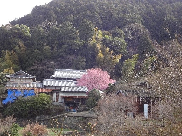 b0149340_20283078.jpg