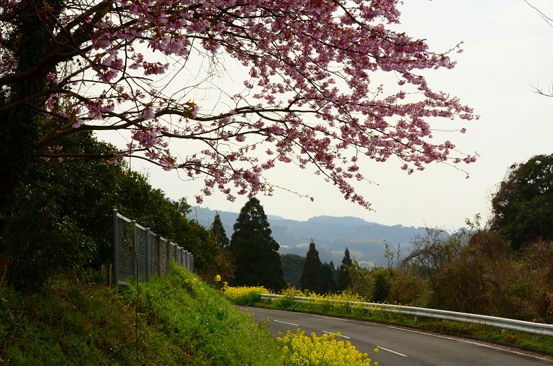 b0288942_183098.jpg