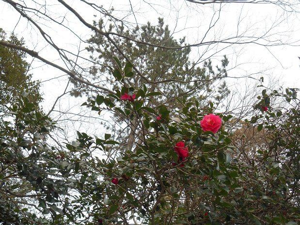 a0124543_1932414.jpg