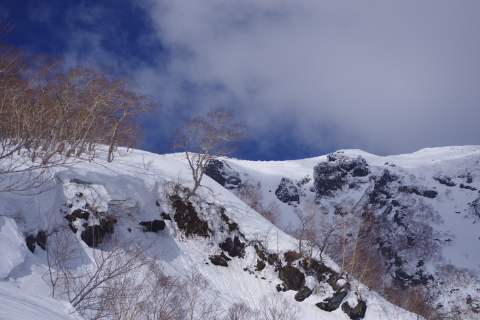 c0077847_1631996.jpg