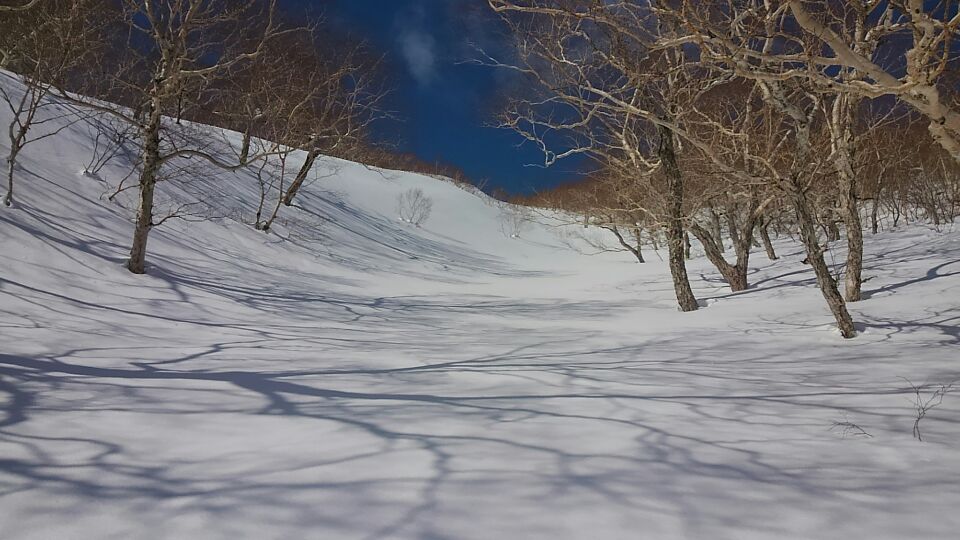 c0077847_16411134.jpg