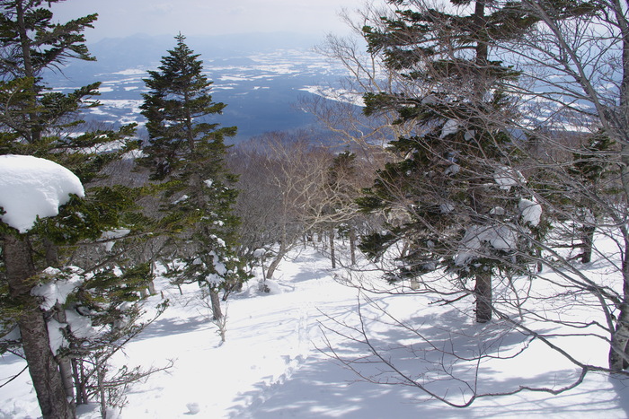 c0077847_16455644.jpg