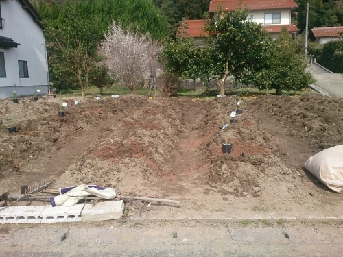 f0341250_00432546.jpg
