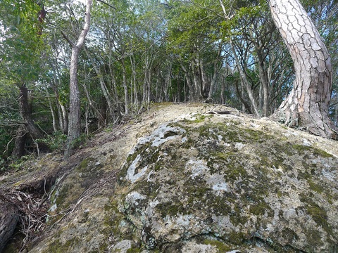 d0007657_18123856.jpg
