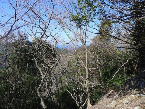 d0007657_18153342.jpg
