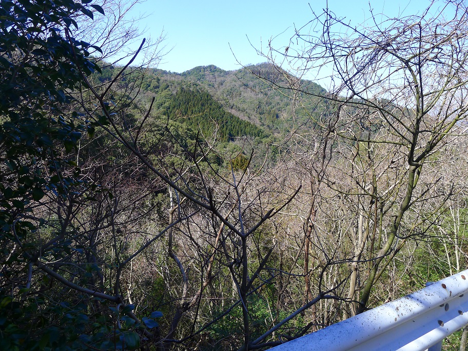 d0007657_1829289.jpg