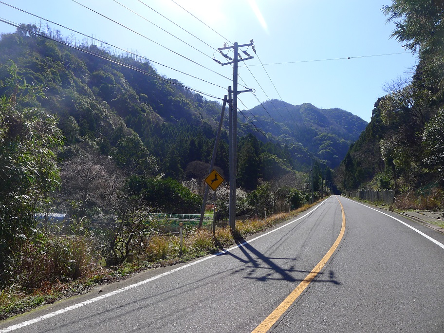 d0007657_18293820.jpg