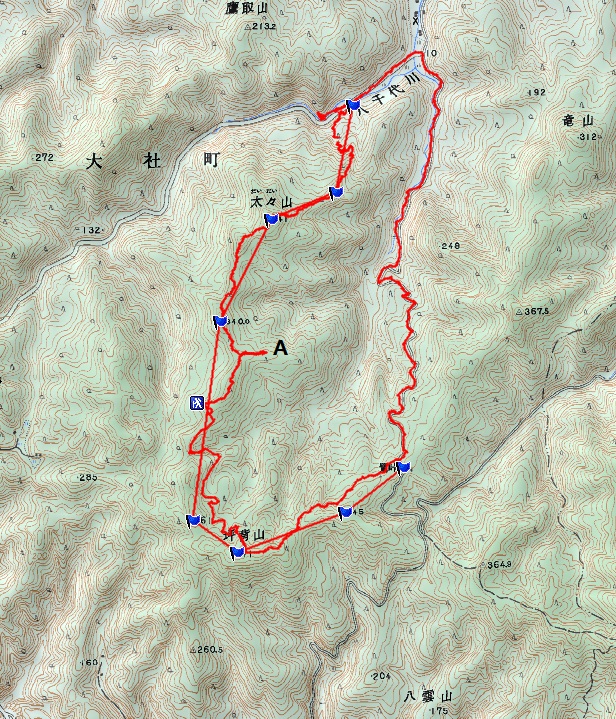 d0007657_18335054.jpg