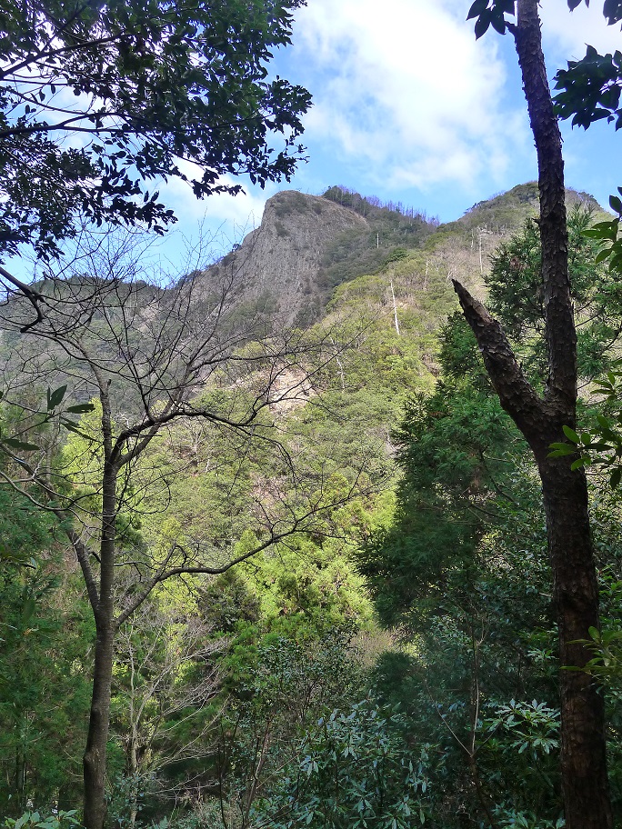 d0007657_188110.jpg