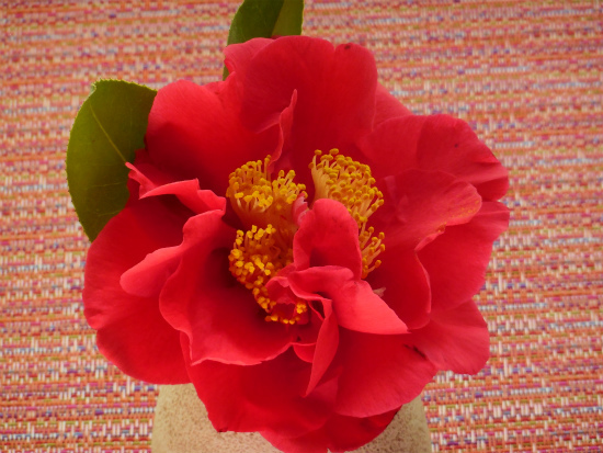 f0130557_12395850.jpg
