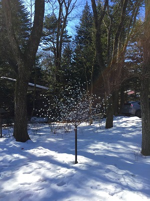 e0001860_2313860.jpg