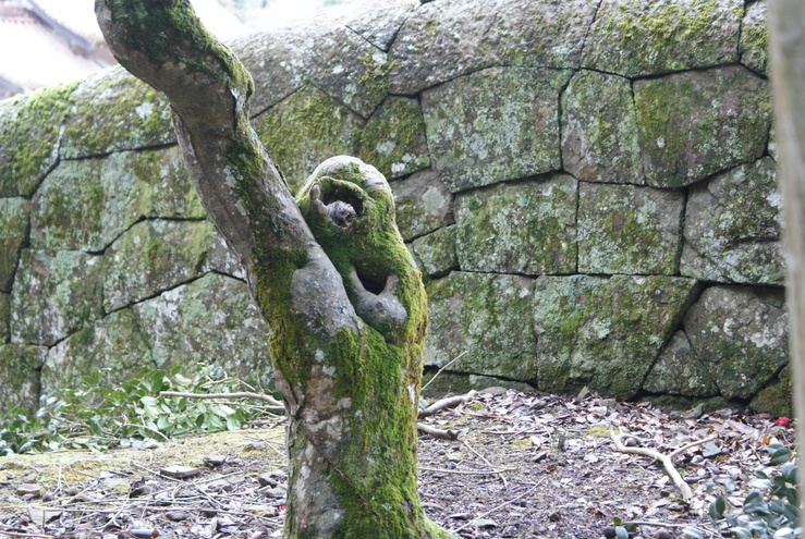 a0091666_20303851.jpg