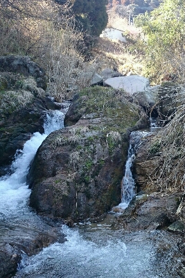b0315366_2236035.jpg